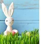 Image result for Little Easter Bunnies