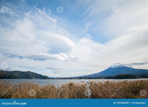 Natural Living Center