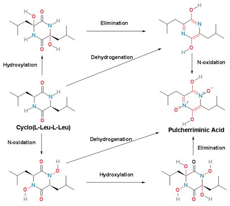 Research Progress of the Biosynthesis of Natural Bio-Antibacterial ...