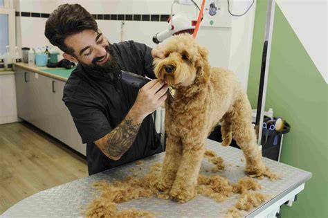 Recession-Proof Businesses: Opportunities You Can Seize