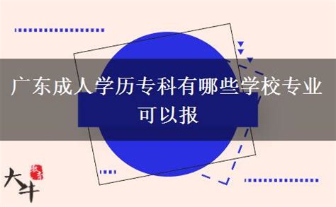 广东成人学历专科有哪些学校专业可以报_大牛教育成考网