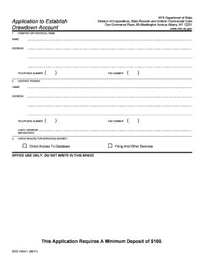 NYS Division of Corporations Application - Blank Fillable Template ...