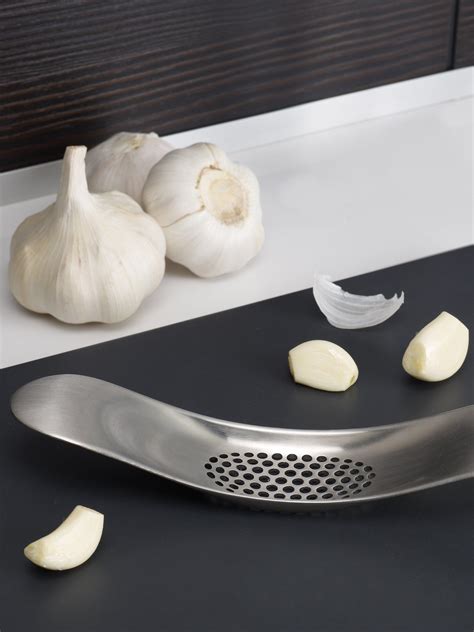 Joseph Joseph 100 Collection Stainless Steel Garlic Rocker, Silver