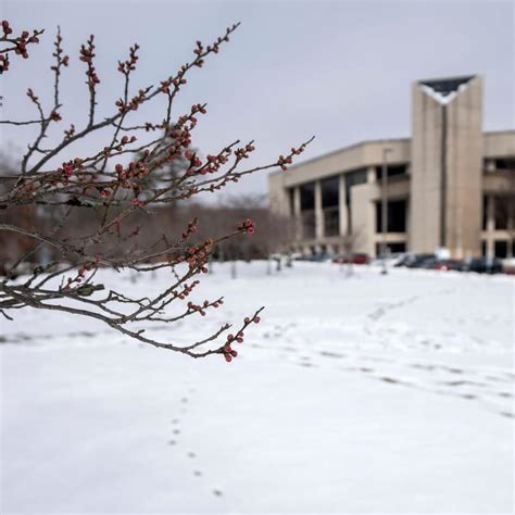 Around Mason: Week of Feb. 25, 2025 | George Mason University News