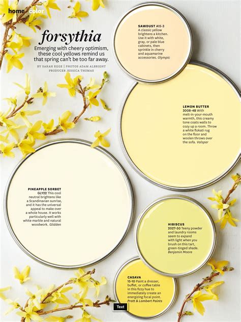 How To Create A Cozy Room With Pale Creamy Yellow Paint Color - Paint ...