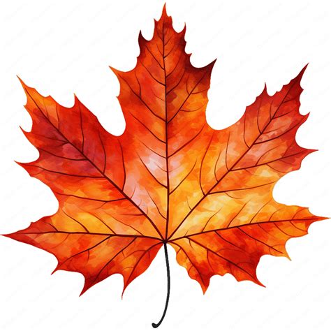 Maple Leaf Clipart | Elegant Maple Leaf Clipart Bundle | 10 High ...