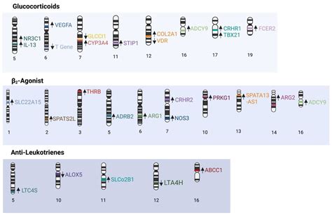 The Genetic Factors of the Airway Epithelium Associated with the ...
