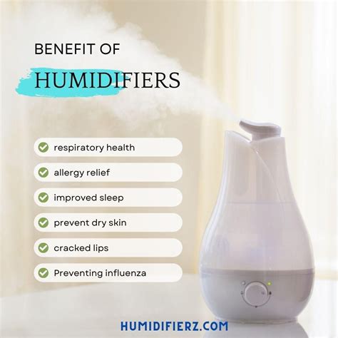 Pin by Ecomloucks LLC on Breathe Easy | Humidifier benefits, Humidifier ...