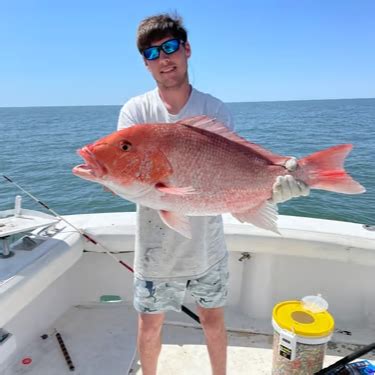 Image result for Red Snapper Fishing