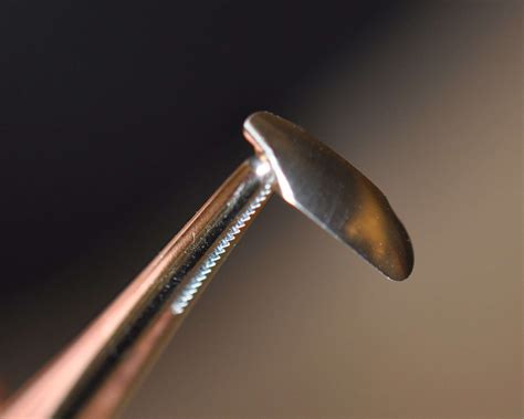 Image result for Sectional Matrix