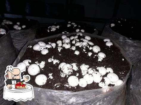 Maa Raj Rajeshwari Mushroom Farm, Dehradun - Restaurant menu, prices ...