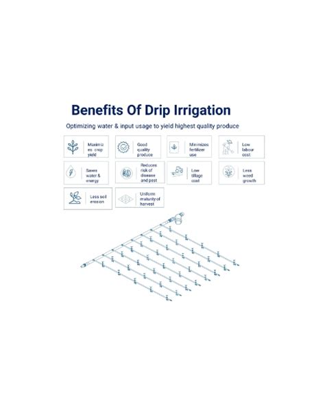 Netafim Portable Drip Kit 1000M2 1 M 30Cm | BigHaat
