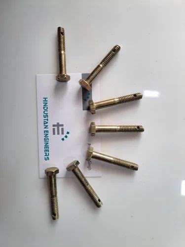 Nut And Bolt - M14 Fan Nut And Bolt Manufacturer from Ludhiana
