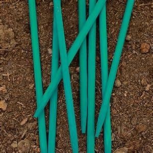 BLOOMAX® 20 Pcs Teal Green Hardwood Plant Support Sticks for Plants ...