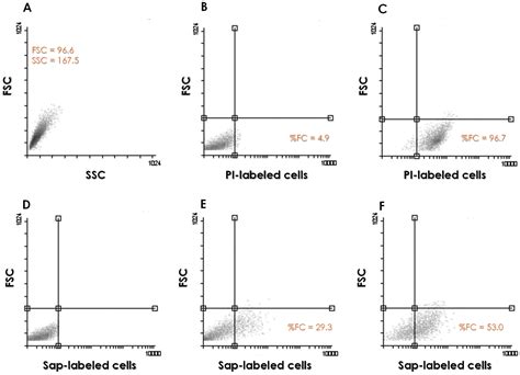 Saps1–3 Antigens in Candida albicans: Differential Modulation Following ...