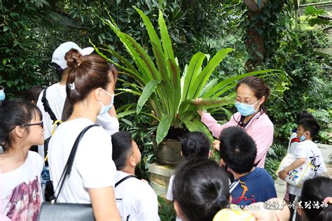 2022广州研学季在华南国家植物园启动 -中国旅游新闻网