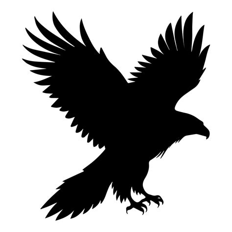 Silhouette eagle. Silhouettes of wild bird 48208734 Vector Art at Vecteezy