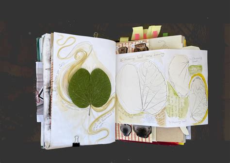 Engineering Design Journal 的图像结果