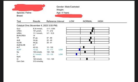 Biochemistry Cat Sample 的图像结果