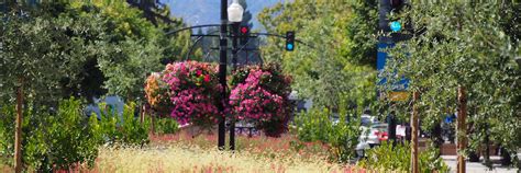 Featured Topics and Initiatives | Mountain View, CA