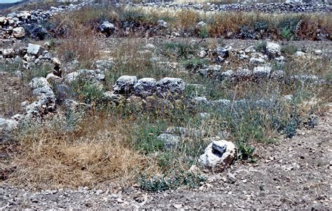 Shiloh was a city in the tribe of Ephraim