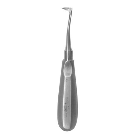 Angled dental elevator - 1 R - A. Titan Instruments - Seldin