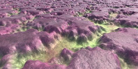 How to Render Using Unity 的图像结果