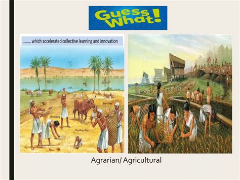 Example of Society 的图像结果