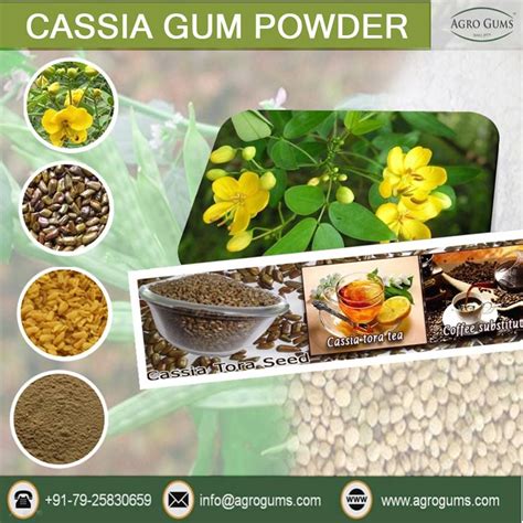 xanthan gum in dog food
