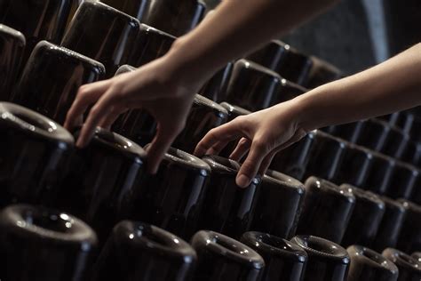 The Best Ways to Use Anise Spirits, According to Drinks Pros | Wine ...