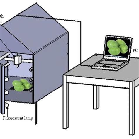 Machine Vision Image Sensor 的图像结果