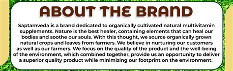 SAPTAMVEDA Premium Curcumin Powder 50 Grams, Pure Curcumin Extract ...