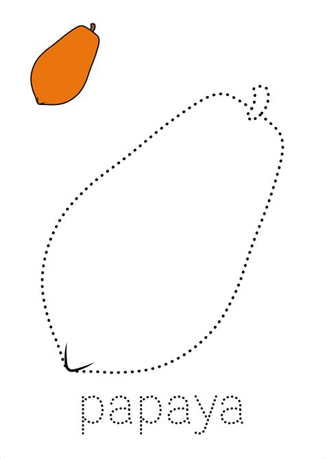 Trace and Color Papaya 25747590 Vector Art at Vecteezy