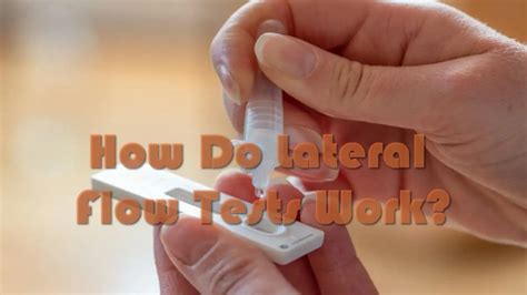 Image result for Lateral Flow Testing How To