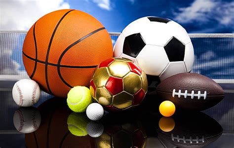 Image result for Sports Program Example