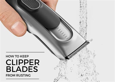 Image result for How to Clean Rust Off Clipper