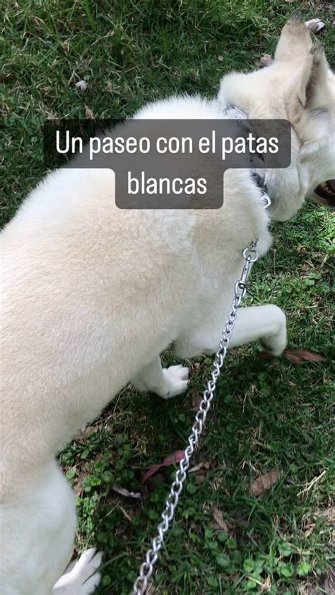 David Mejia (@beniven908) • Instagram photos and videos