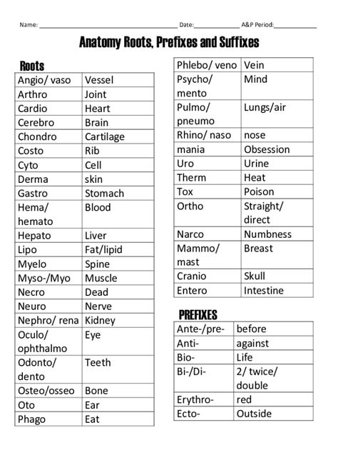 Anatomy And Physiology Prefixes And Suffixes - Fill Online, Printable ...