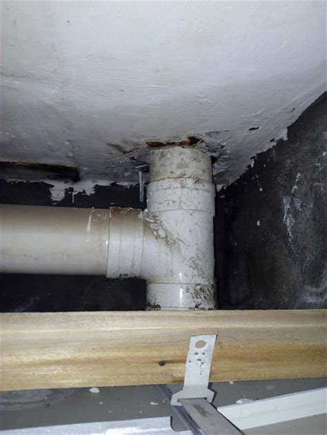 楼上住户厨房反水，怪我家下水管安装止回阀？水电师傅：没啥联系_影响