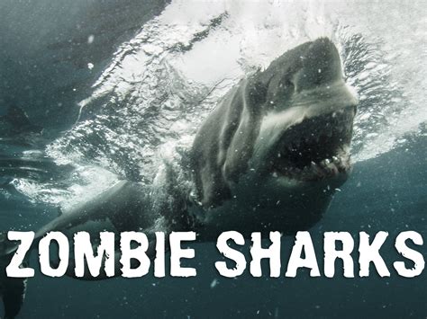 Prime Video: Zombie Sharks - Season 1