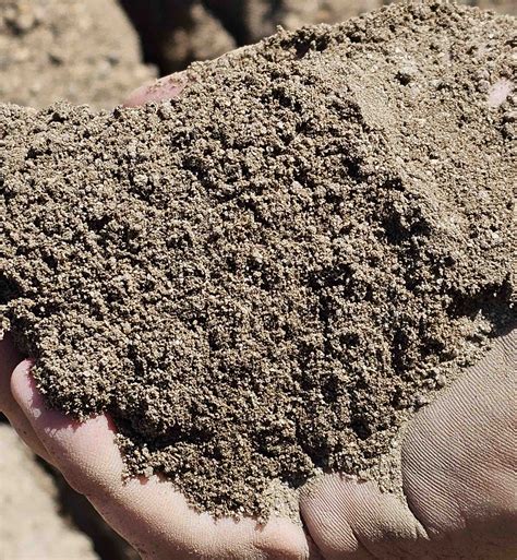 Topsoil / Sandy Loam – Kingaroy Quarry Supplies