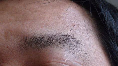 男性50岁以后眉毛变长，其中的含义是什么？医生：不放了解一下_老年人_身体_生活