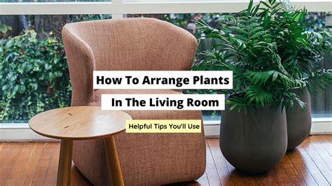 How To Arrange Plants In The Living Room - Craftsonfire