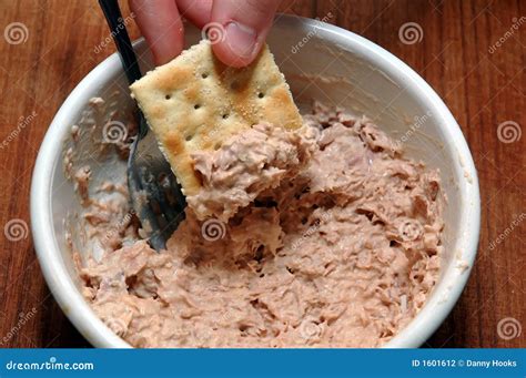 Tuna and Crackers stock photo. Image of indoor, nutrition - 1601612