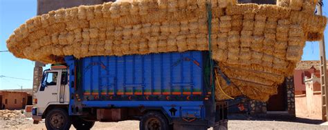 Overloading 的图像结果