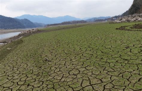 小桥流水人家，楠溪山地民居，温州林坑村|林坑|山地民居|小桥流水_新浪新闻