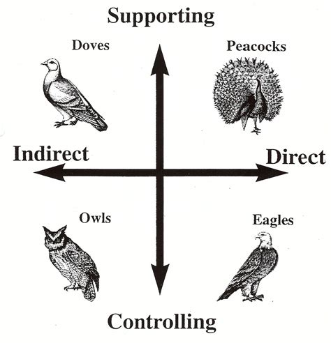 Bird Behavioral Style Evaluation at Evie Beirne blog
