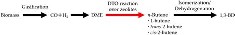 n-Butene Synthesis in the Dimethyl Ether-to-Olefin Reaction over Zeolites