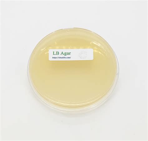Luria-Bertani (LB) Agar | CBSAlife