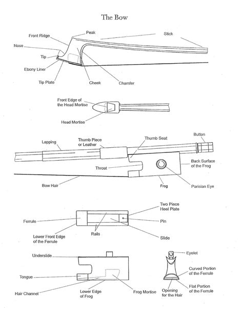 Violin Bow Parts Violin Symphony: Parts Of The Violin And Bow